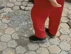 Pemasangan Paving Block di sejumla SD Disorot Warga
