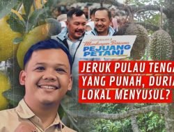 Nasib Jeruk Pulau Tengah dalam Pusaran Waktu