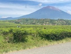Peningkatan Aktivitas Gunung Kerinci: Status Waspada (Level II)