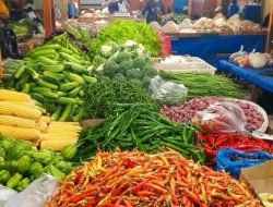 Harga Pangan Memicu Inflasi Jambi Akhir 2025, Capai 0,62 Persen