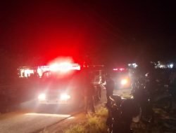 Damkar Terlambat! Kandang Sapi Habis Terbakar