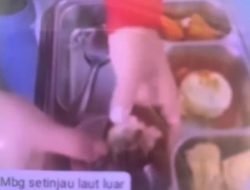 Viral Video Menu MBG Diduga Membusuk