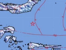 Gempa Dangkal Guncang Teluk Tomini