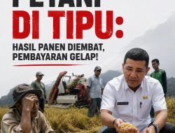 Petani di Tipu: Hasil Panen Diembat, Pembayaran Gelap!