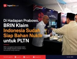 Di Hadapan Prabowo, BRIN Klaim Indonesia Sudah Siap Bahan Nuklir untuk PLTN