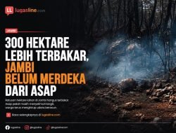 300 Hektare Lebih Terbakar, Jambi belum merdeka dari asap