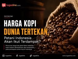 Harga Kopi Dunia Tertekan, Petani Indonesia Akan Ikut Terdampak?
